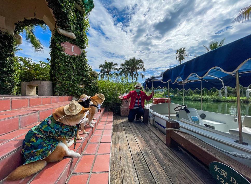 Promisedland Resort & Lagoon Thọ Phong Ngoại thất bức ảnh Dogs on a boat at the park